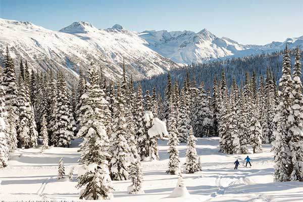 Whistler Whistler