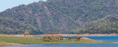 20 Most Famous National Parks in India