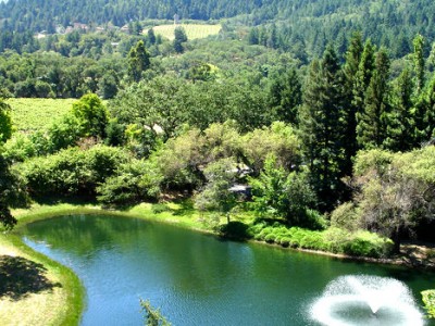 Napa Valley Island