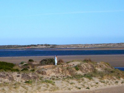 Coorong National Park Island