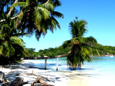 Kenya Island