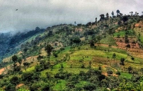 Honduras
