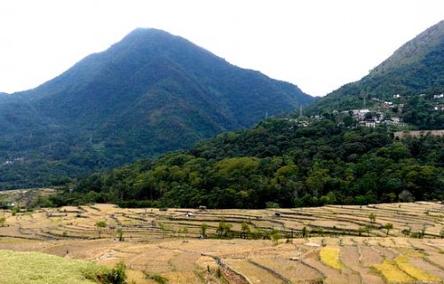 Nagaland
