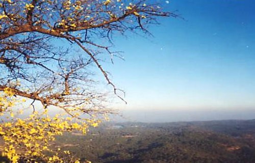 Madhya Pradesh