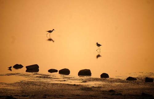 Top Romantic Places in Hyderabad