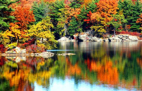 Romantic Things Couples Can Do in Autumn