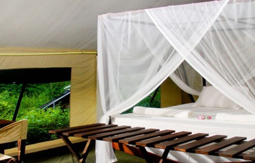 Yala Safari Camping