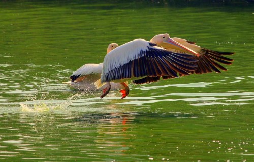 Places to Visit in Delhi