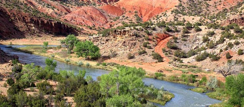 New Mexico