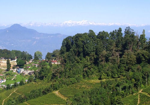Darjeeling Special Himalayan Honeymoon Package