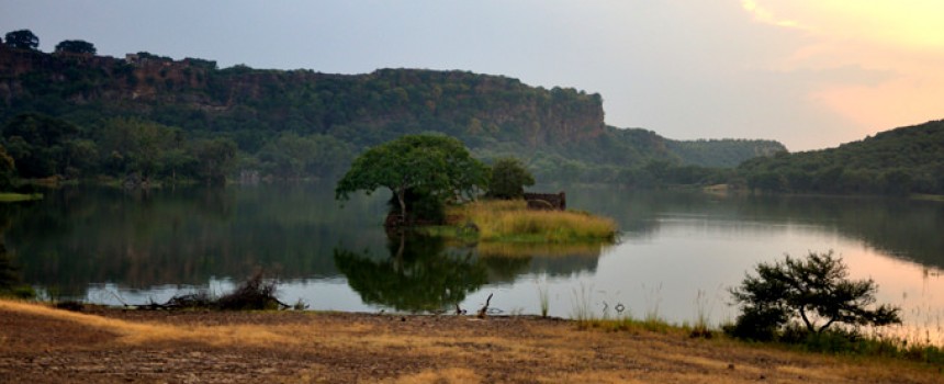 Ranthambore National Park