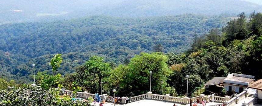 Kodagu View