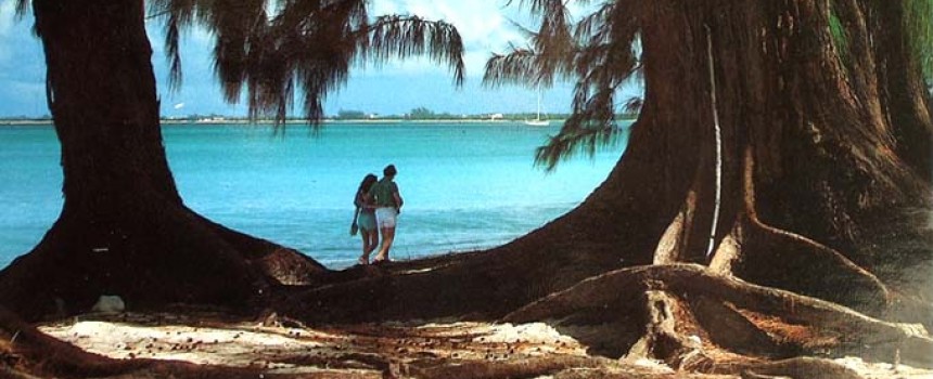 Seven Mile Beach in Cayman Islands
