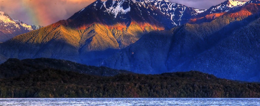 Te anau in New zealand