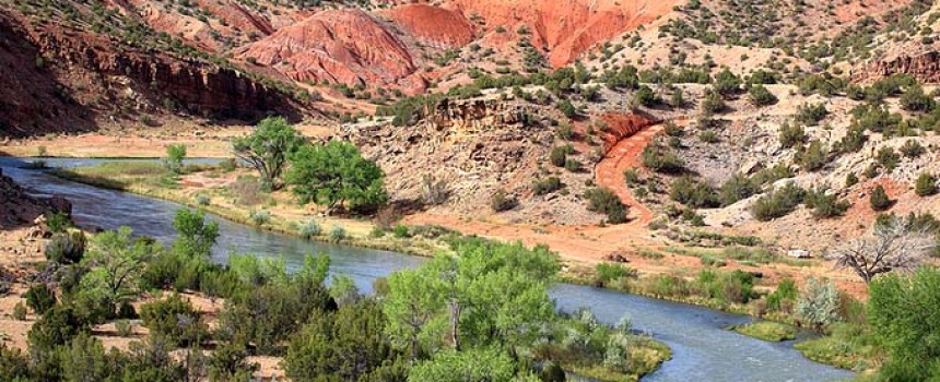 River and Mountains in New Mexico