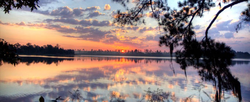 Honeymoon In Louisiana Louisiana Honeymoon Guide Tour Packages