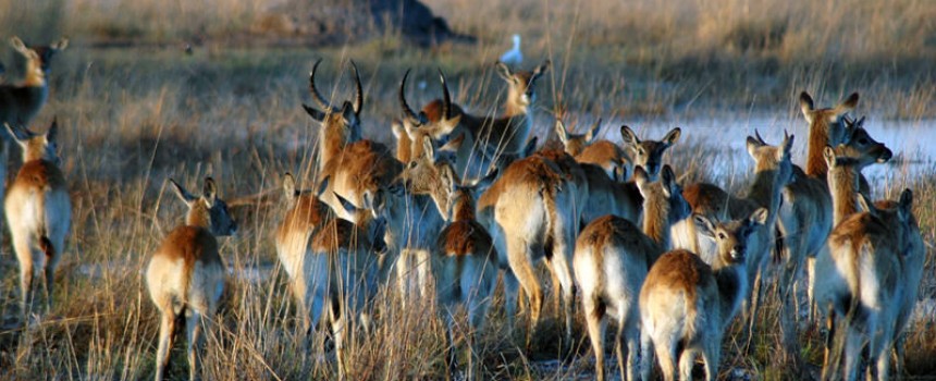 Botswana