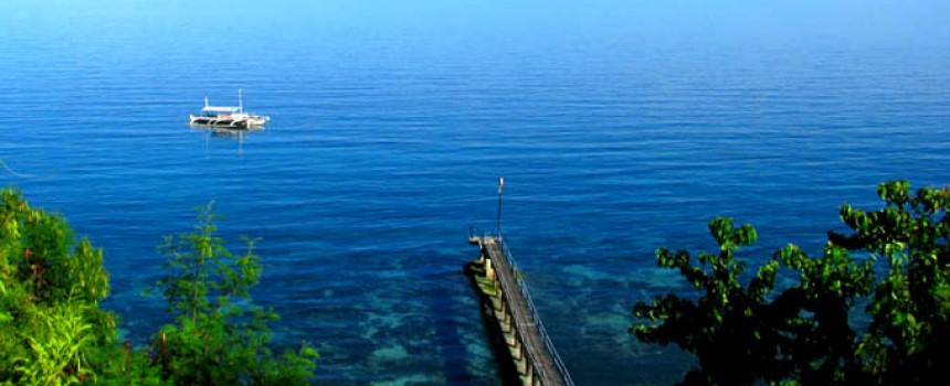 Cebu City