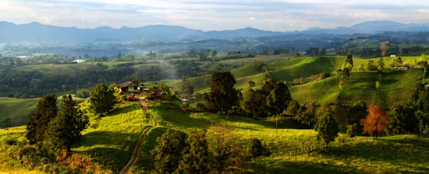 Colombian Landscape