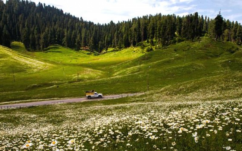 Gulmarg