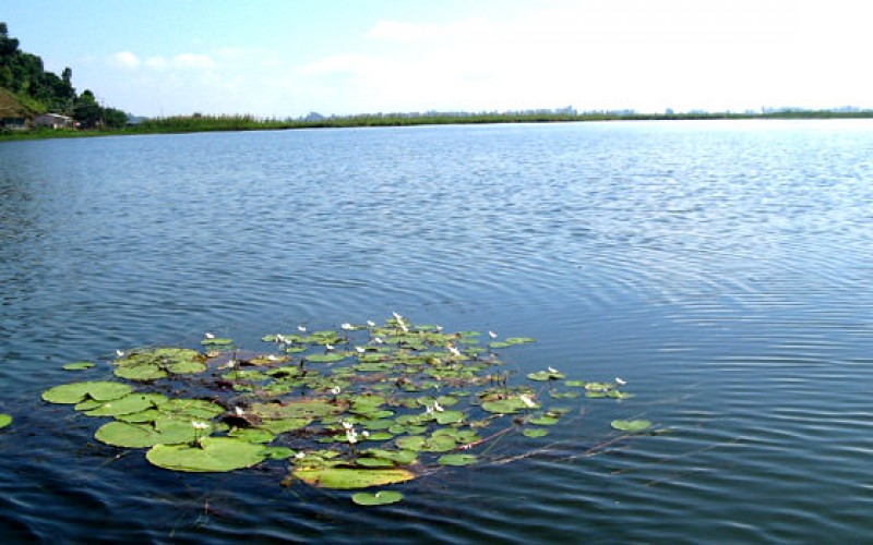 Loktak Lake, Manipur