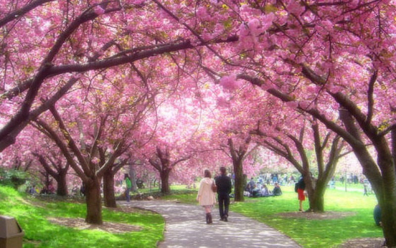 Botanical Garden, Brooklyn