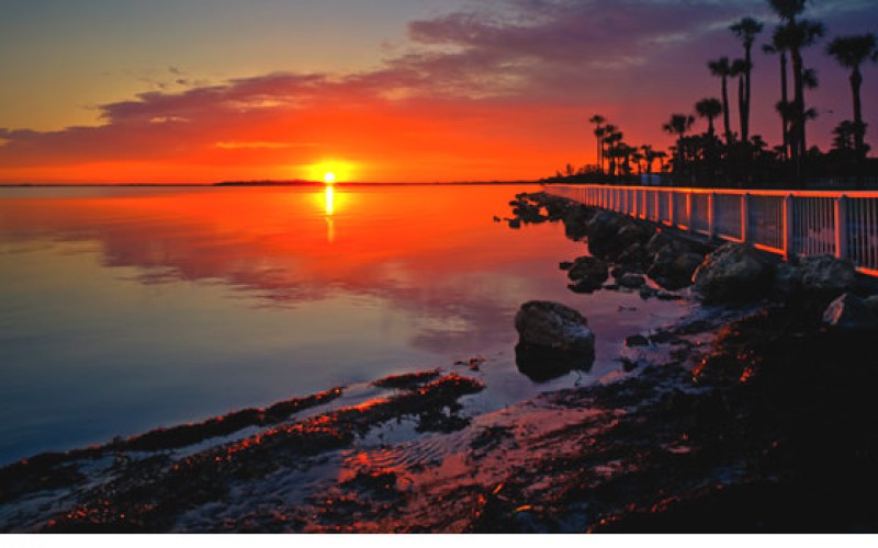 Tampa Bay