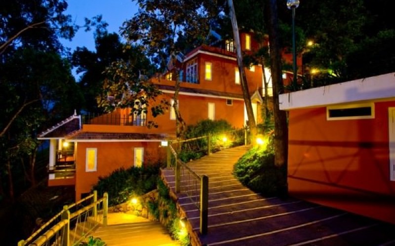 Tea Valley Resort