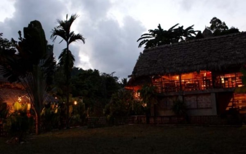 The Wild Orchid at Night