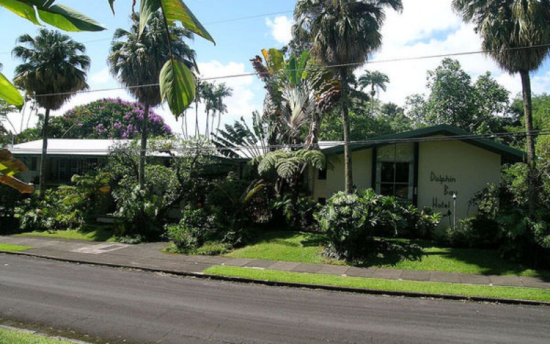 Dolphin Bay, Hilo