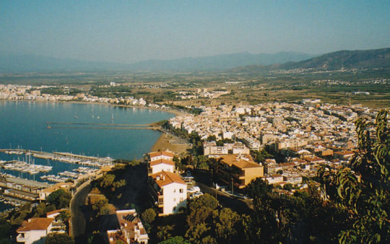 Skyline of Roses