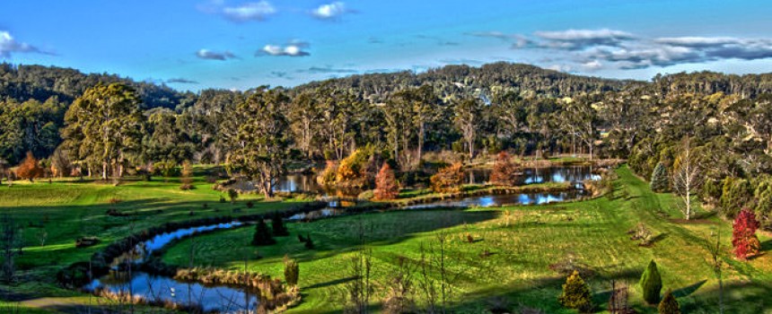 Tasmanian Arboretum