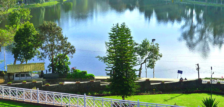 Dream Honeymoon in Kodaikanal Tour Package