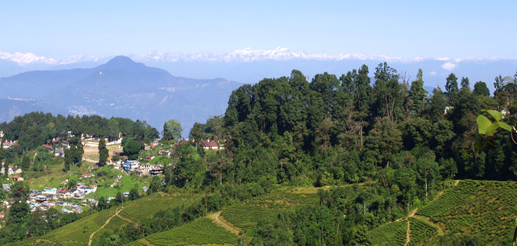 Darjeeling Special Himalayan Honeymoon Package